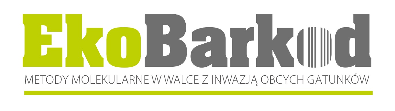 Strona główna