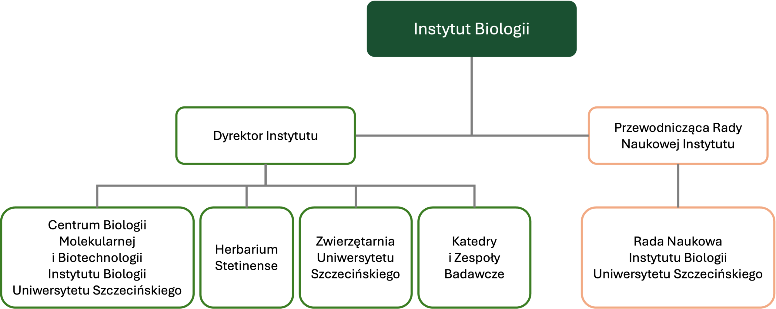 Struktura