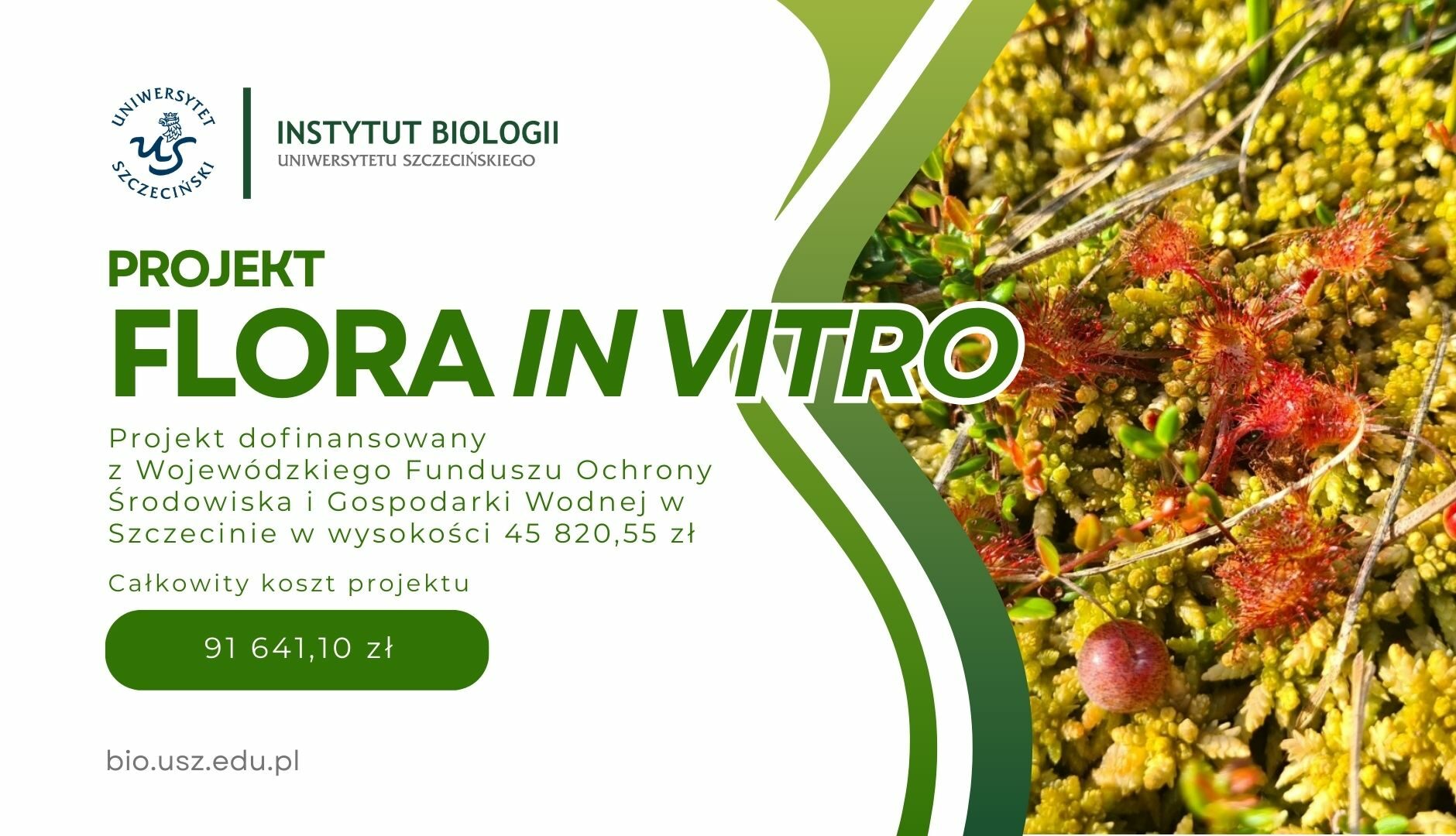 projekt flora in vitro instytut biologii