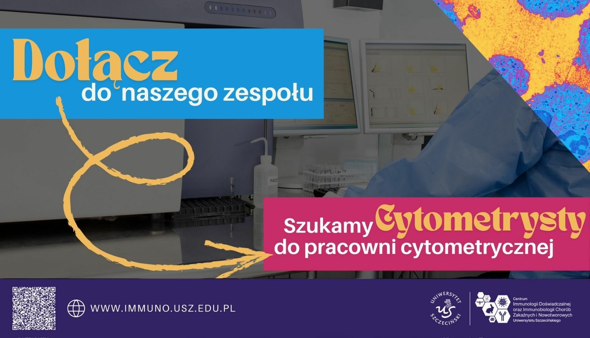 immuno-oferta-pracy
