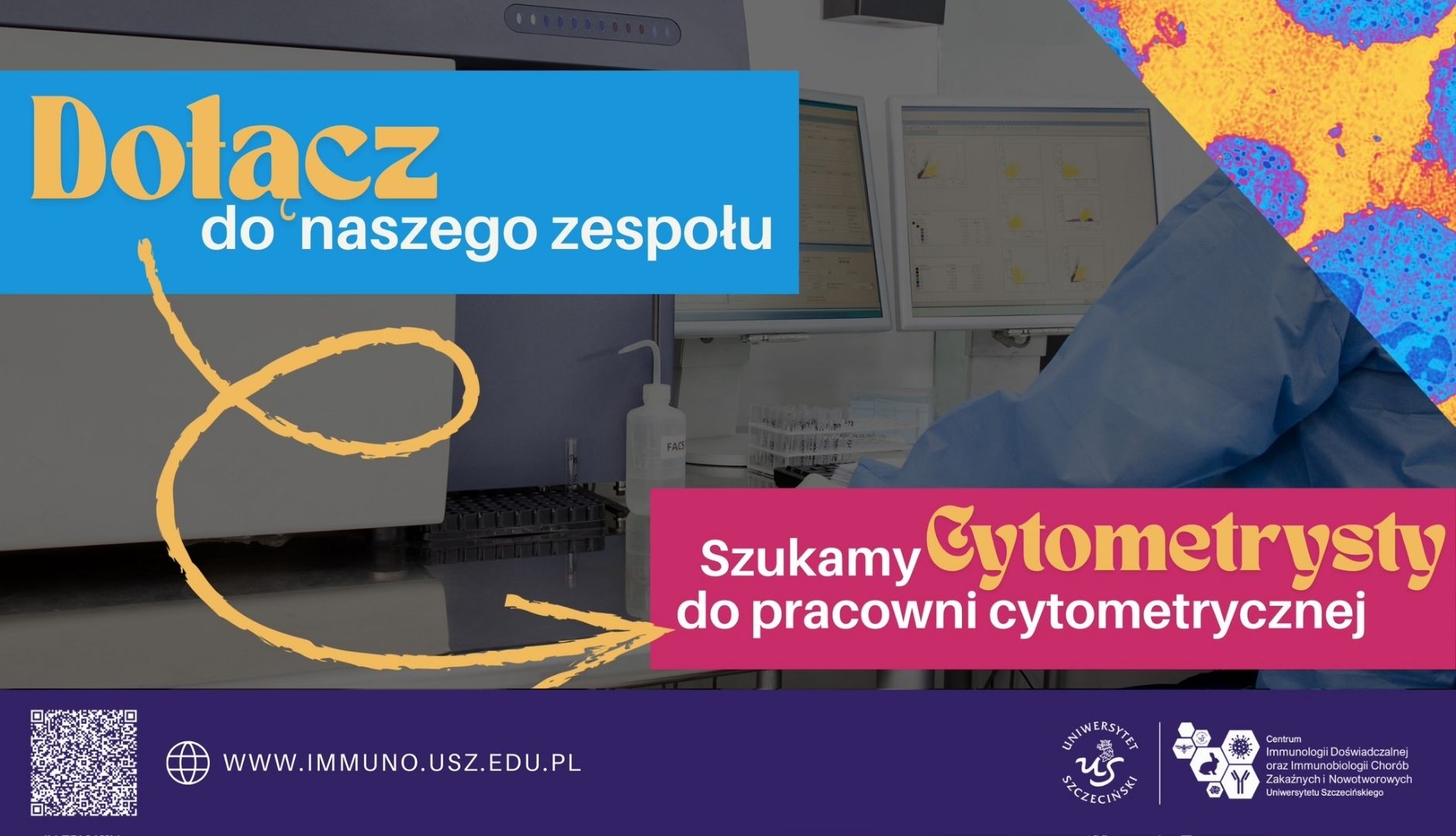 immuno-oferta-pracy