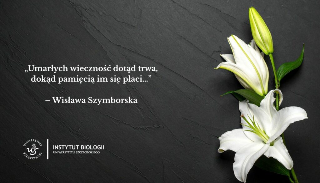wyrazy współczucia