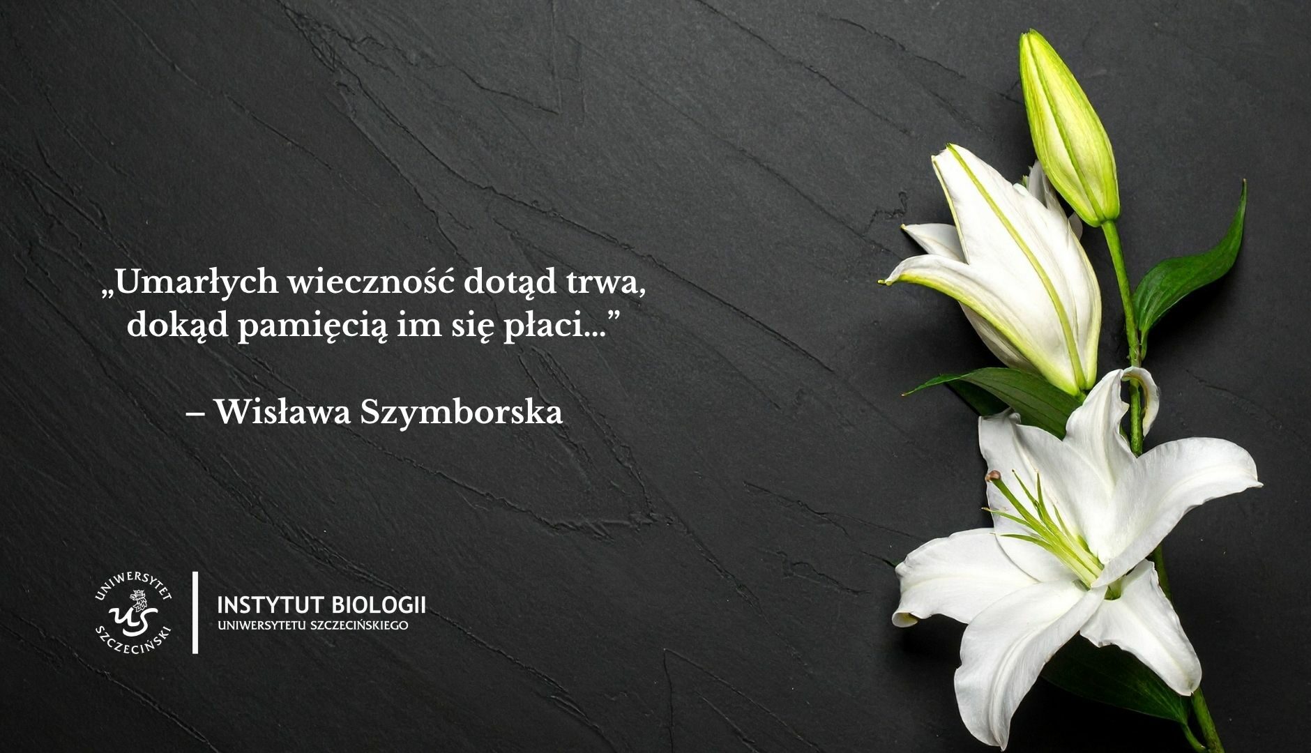 wyrazy współczucia