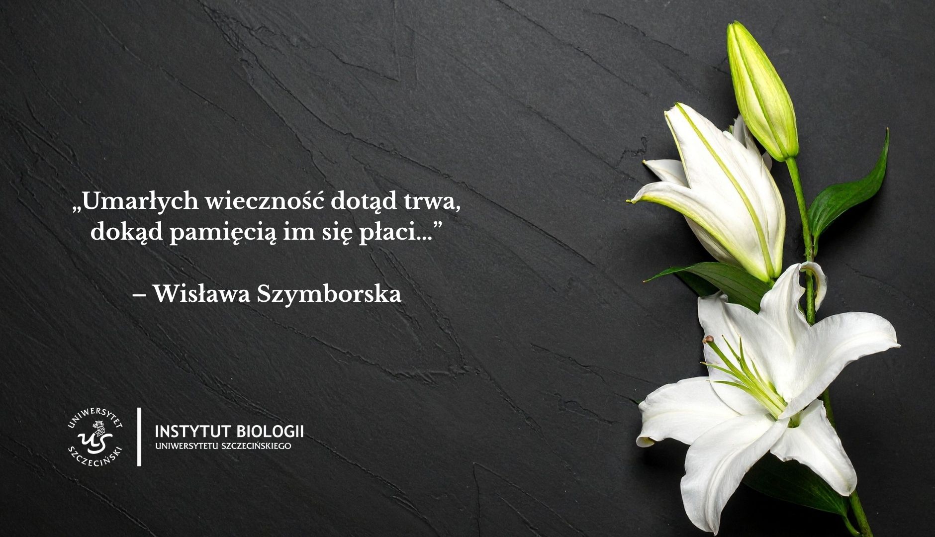 wyrazy współczucia