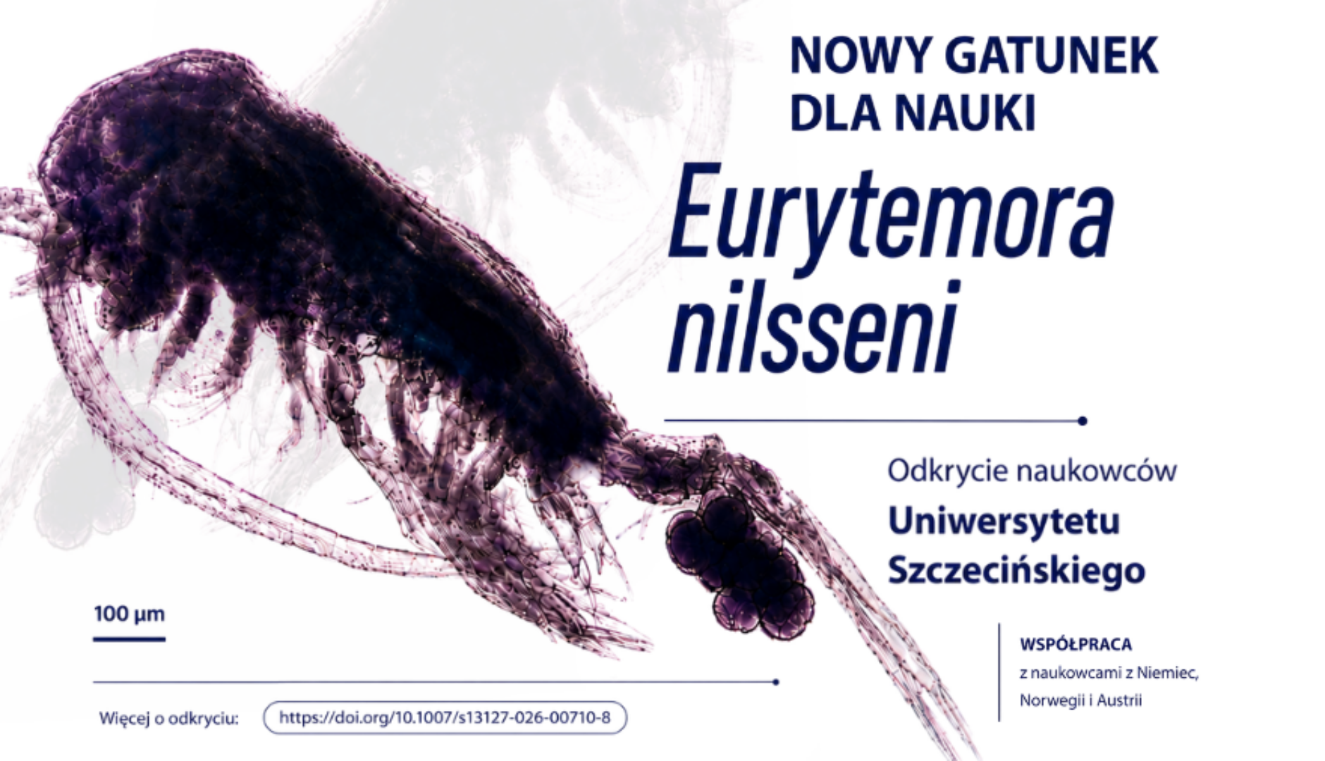 Nowy-gatunek-skorupiaka-Eurytemora-nilsseni