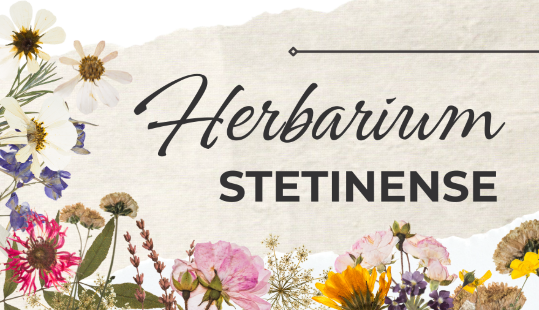 Herbarium-Stetinense