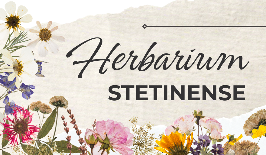 Herbarium-Stetinense