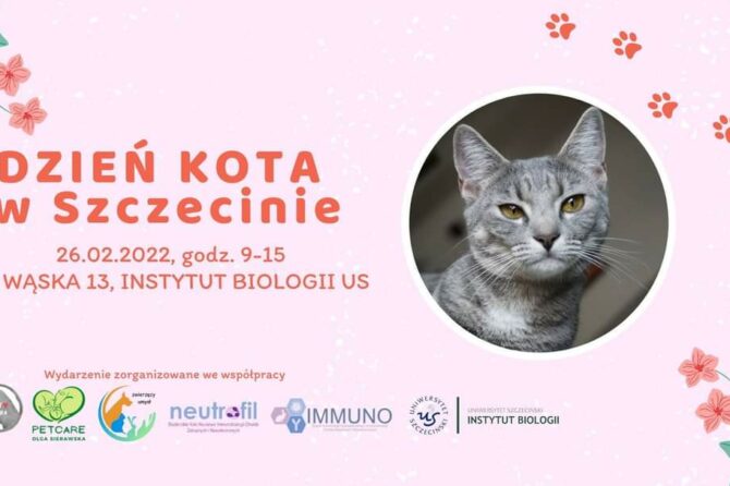 Dzień kota w Szczecinie 26.02.2022 na terenie Instytutu Biologii US